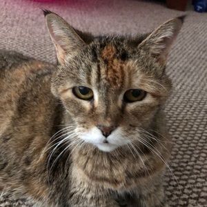 Meet your Posher, Debra